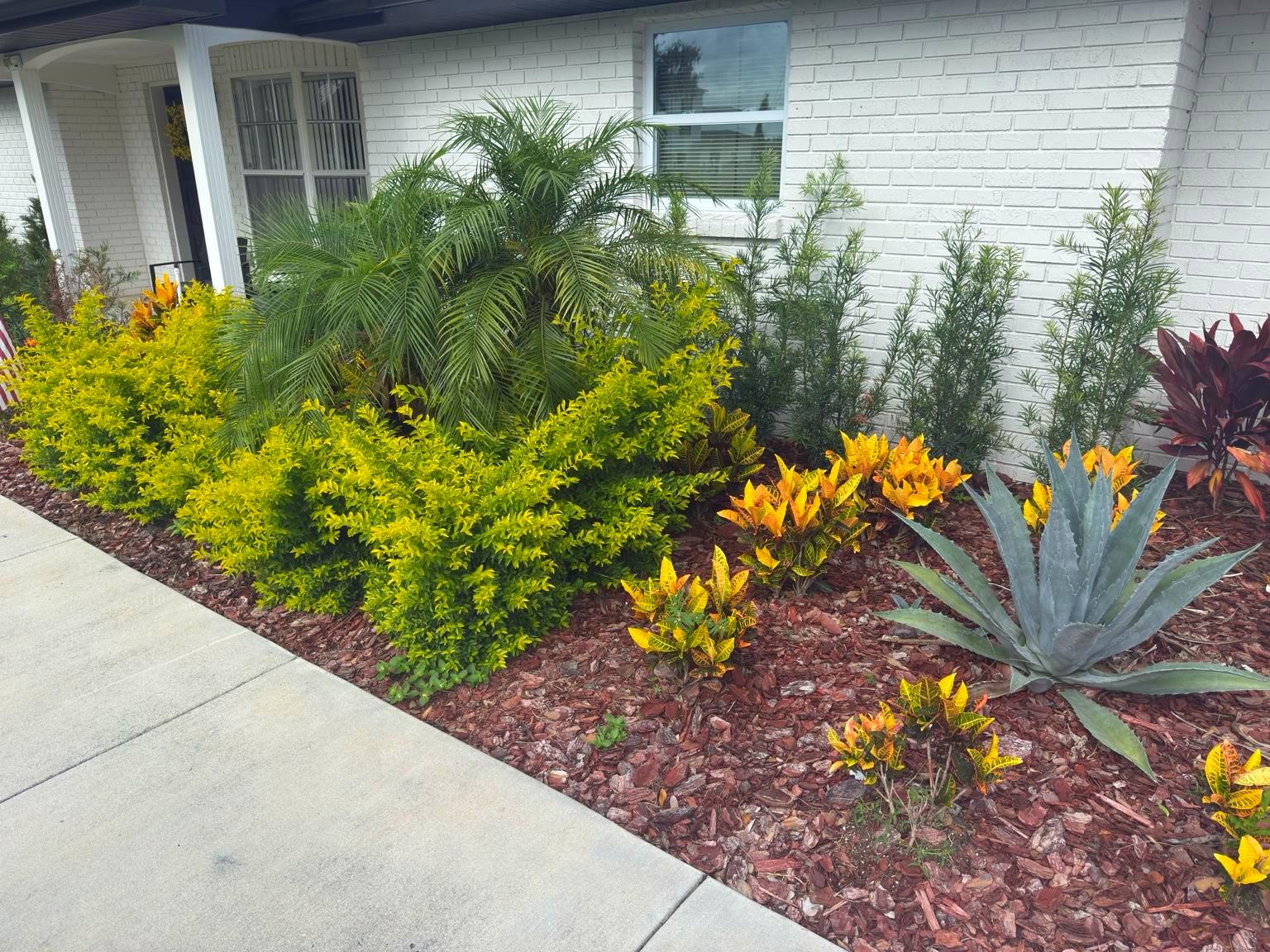 Bush Before
